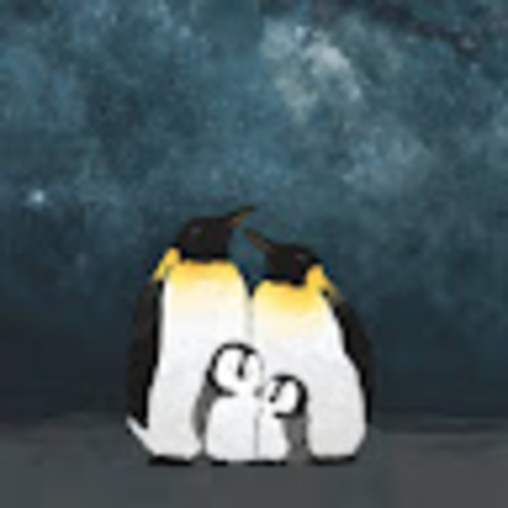 Meet your Posher, Doctor